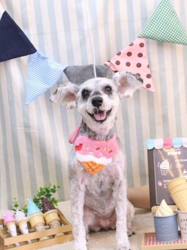 20250520来夢ちゃん